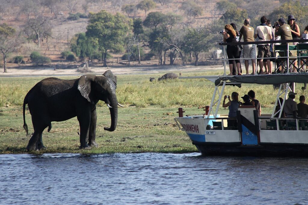 Tourists at Sedudu Island